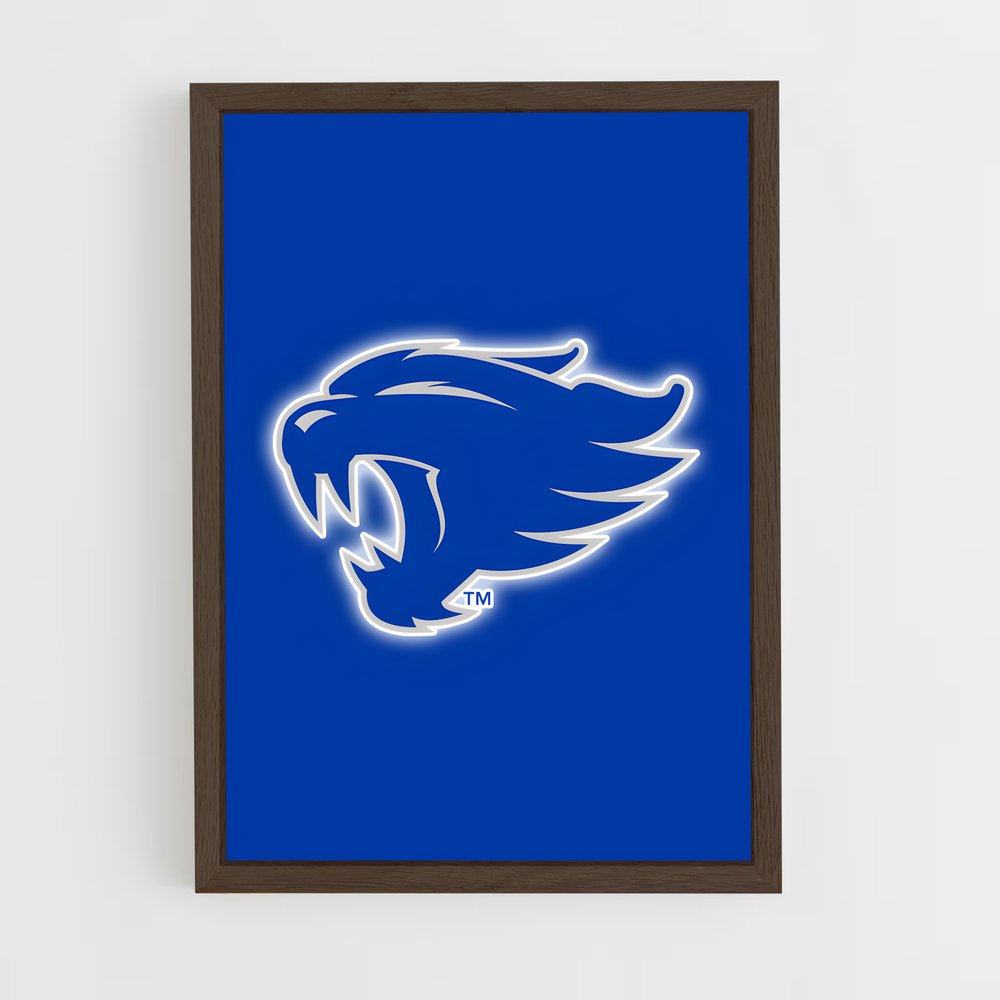 Poster Wildcats Spirit – affiche Basketball (vue 5)